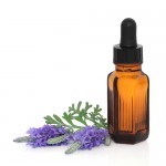 lavendar-homeopathy